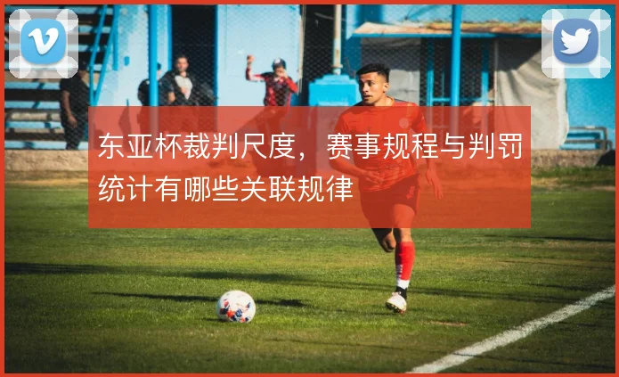 东亚杯裁判尺度，赛事规程与判罚统计有哪些关联规律